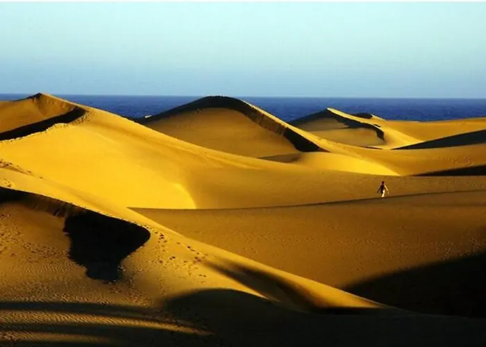 شقة Paraiso By Casas Cocodrilo *